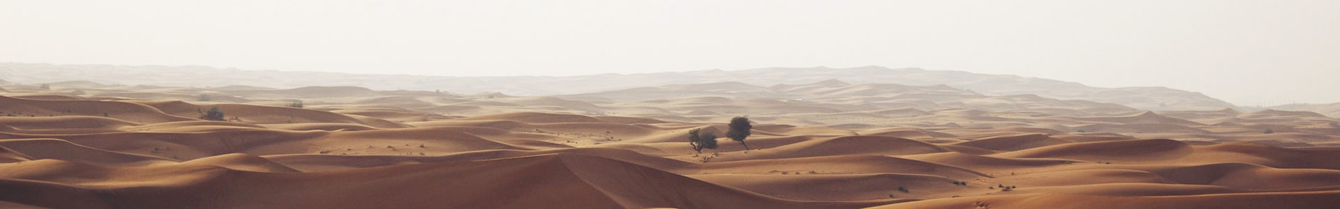 شԽܽƷ޹˾